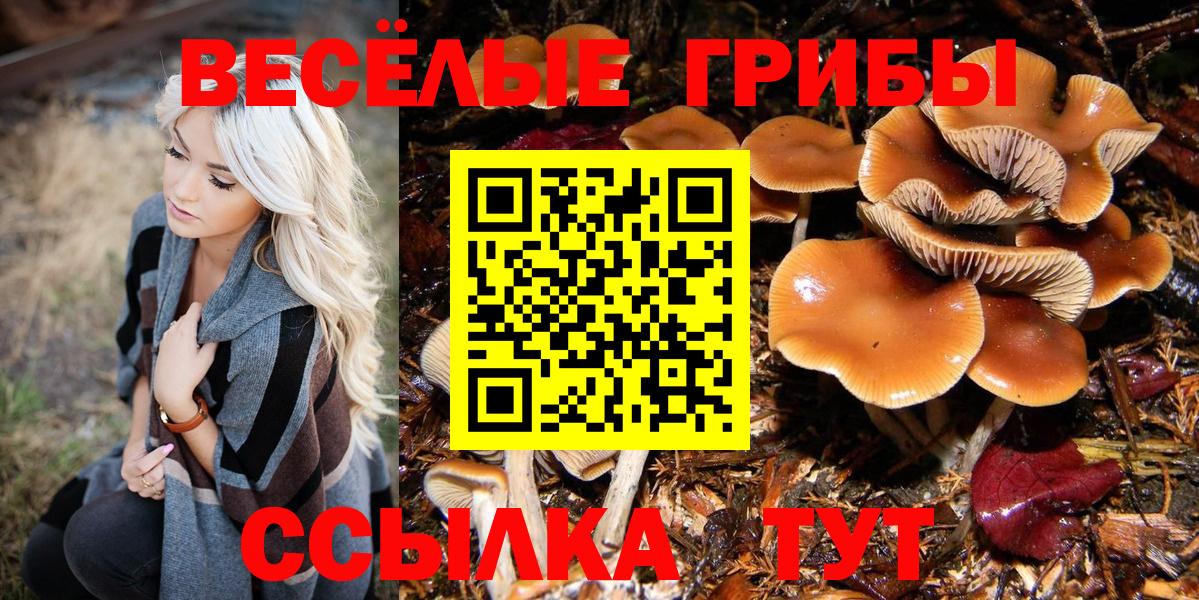Галлюциногенные грибы Cubensis Брянск